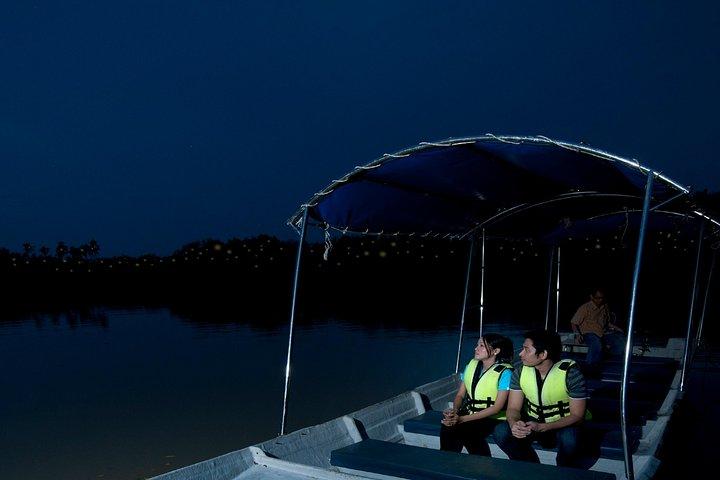 Private Tour: Kuala Selangor Firefly Blinkings including Seafood Dinner