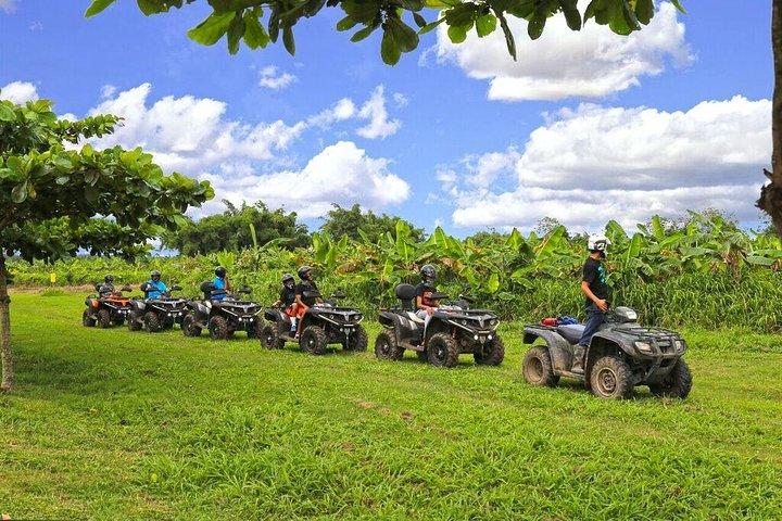 Single ATV Adventure: Private Hacienda Experience with Transfer