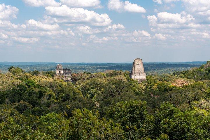 Tikal VIP Small Group Tour From Flores Or Tikal