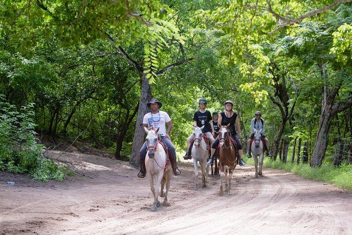 Horseback Riding tours in Brasilito
