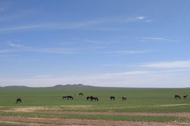 Inner Mongolia Huhhot Three Days Nature Tours 