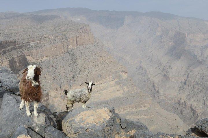 Jabal Shams (Grand Canyon) Tour