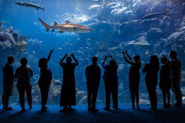 The Florida Aquarium in Tampa General Admission