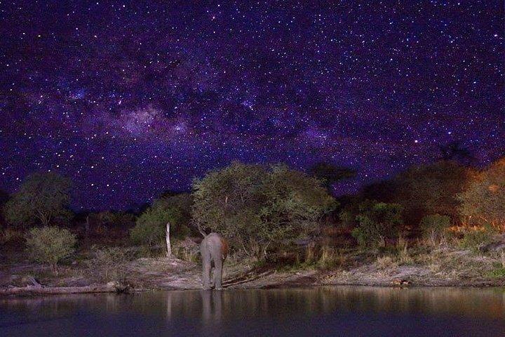 Stargazing on The Wilderness (Harare Night's Tour)