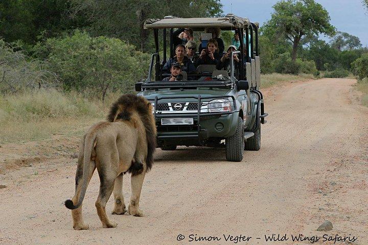 3-Day Kruger National Park Open Vehicle Safari