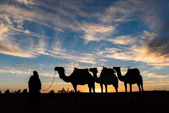 Agadir Camel Riding +Sunset and Dinner( barbecue)