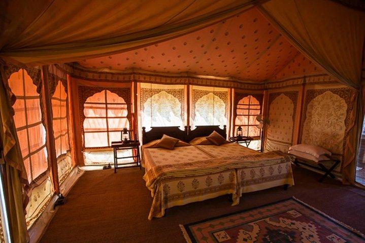 Overnight Camping With Camel Safari In Jodhpur