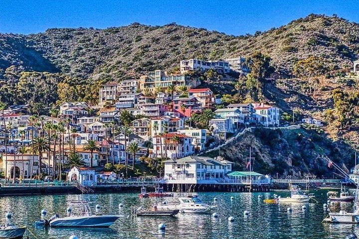 Discover Avalon: Catalina Scenic Tour