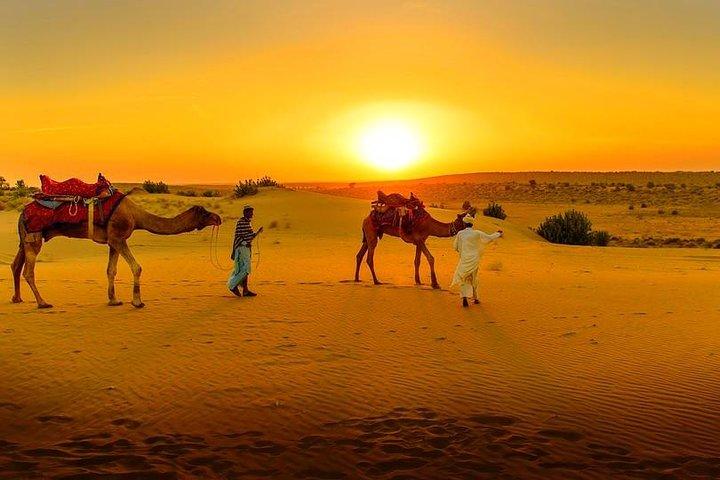 Marrakech Day Trip to Agafay Desert, Atlas Mountains & Camel Ride