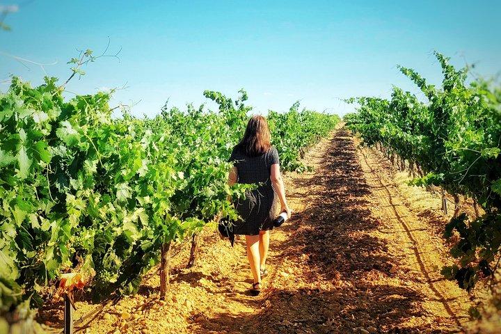 Discover the authentic wine culture of Rueda