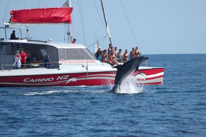 Carino Wildlife Cruises - Island and Wildlife Day Cruise