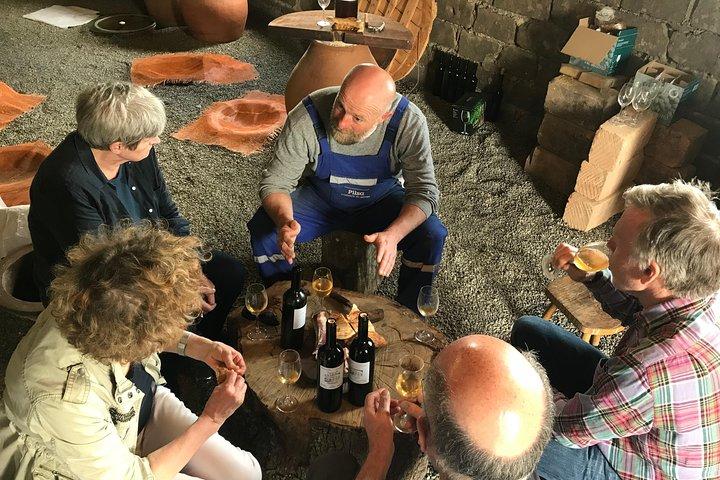 Private Organic Wine Tour from Kutaisi, 2 Tastings and Lunch