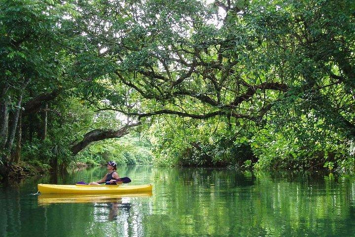 Small Group River Kayaking Tour from Port Vila