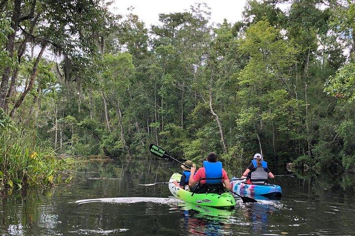 Self-Guided Kayaking: Real Florida Adventure