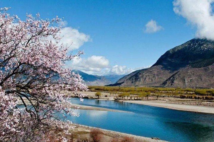 Tibetan Classic 10 Day Tour - Linzhi Peach Blossom Festival