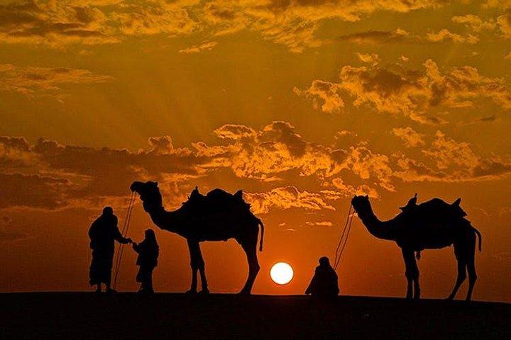 Overnight Camel Safari with Camping
