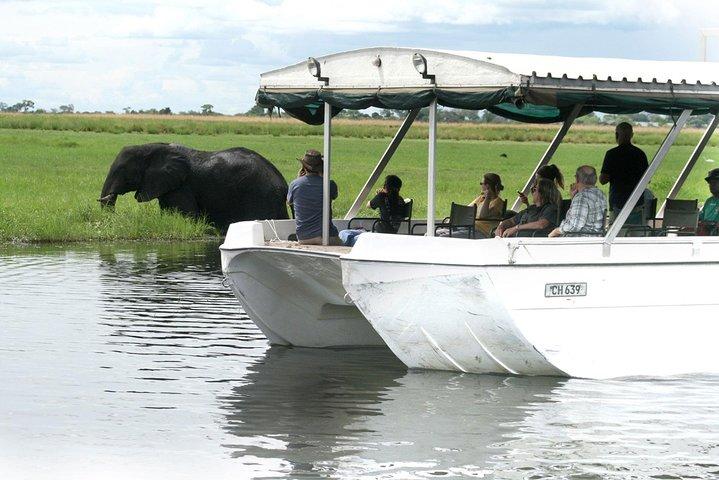 Sunset Cruise on Chobe River with Hotel Pickup from Kasane