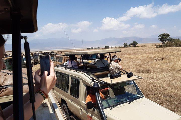 Full day Ngorongoro crater experience