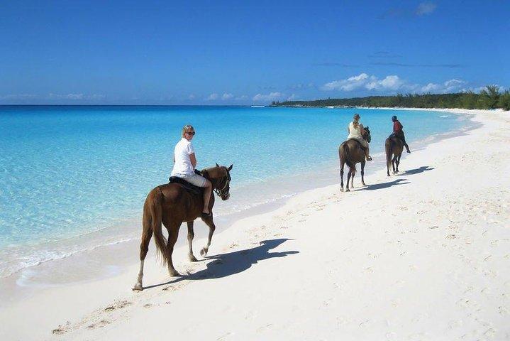  Beach Macao Horseback Riding from Punta Cana