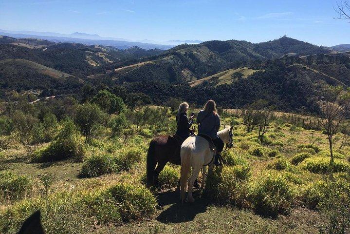 Exclusive Horse Experience with Pic-nic at Belvedere