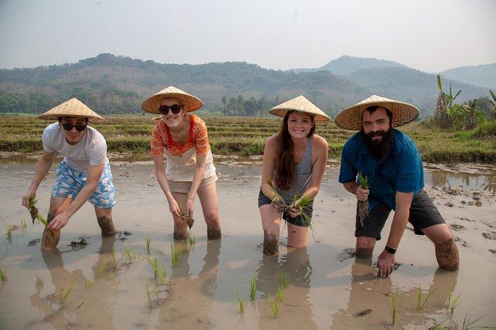 Full Day Kuang Si Warerfalls & Rice Farming Experience in Living Land