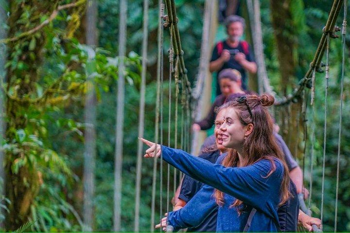 Tropical Rainforest, Hanging Bridges And Jungle Sloths Sanctuary