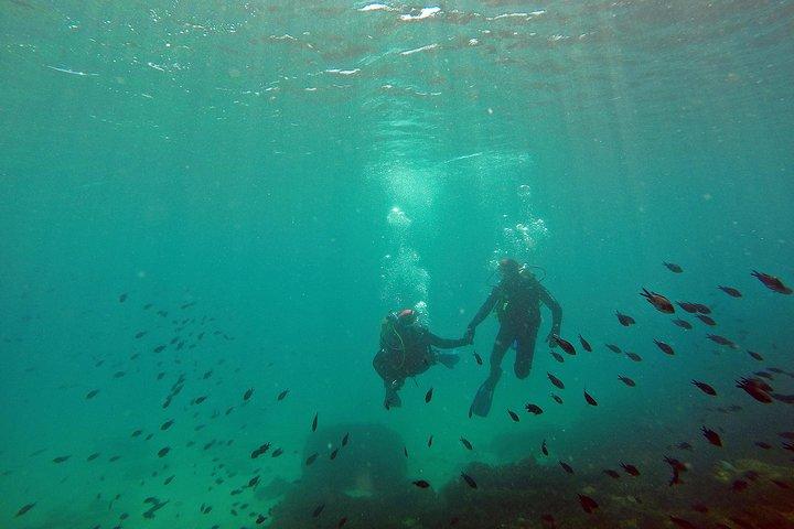 Baptism of diving in the Natural Park of the Strait