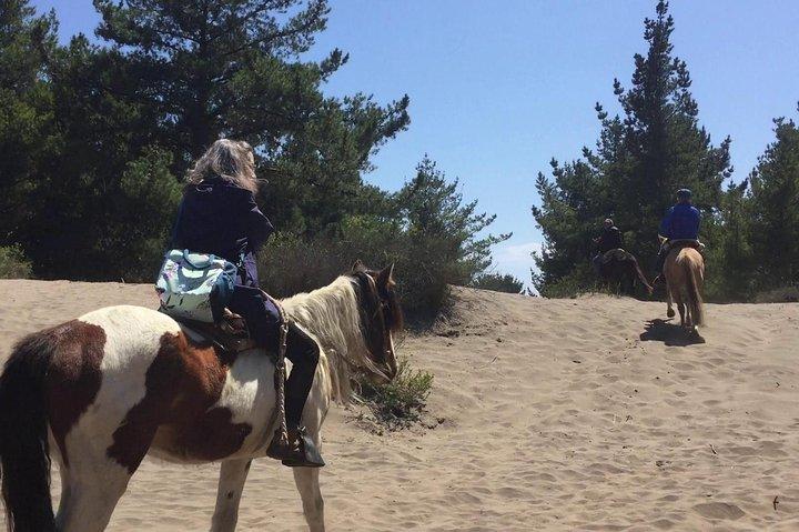 Horse Ride & BARBECUE on Ritoque Beach&Sand Dunes FROM VALPARAISO