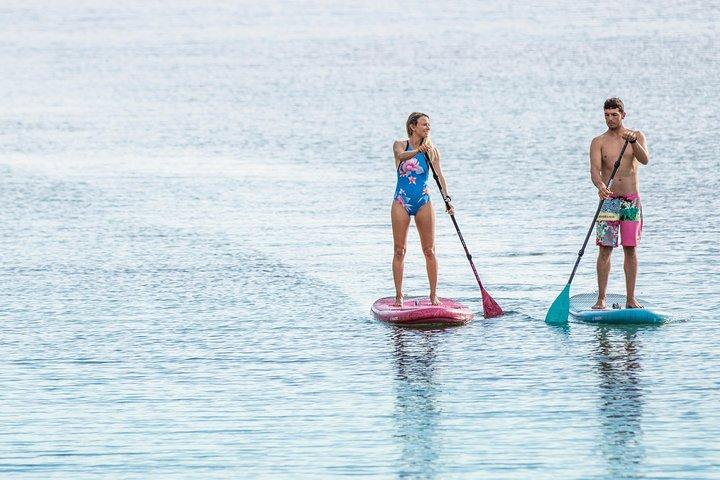Stand Up Paddle Boarding Hire