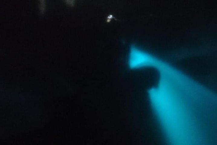 Bioluminescence swim with stars