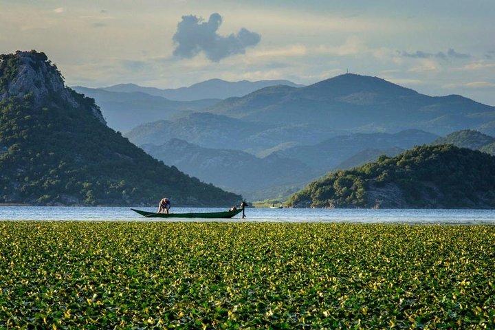 Skadar lake boat ride through "Montenegrin Amazon", wine tasting & Niagara falls