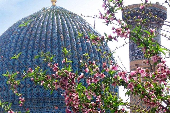 Day Tour to Samarkand from Tashkent by train.