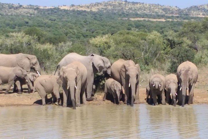 Pilanesberg Safari Fullday