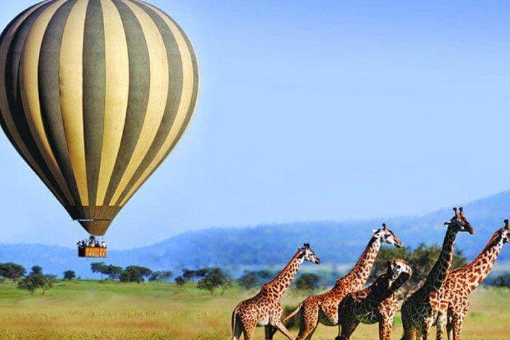 5-days Ruaha Balloon Experience and Kitulo plateau National park