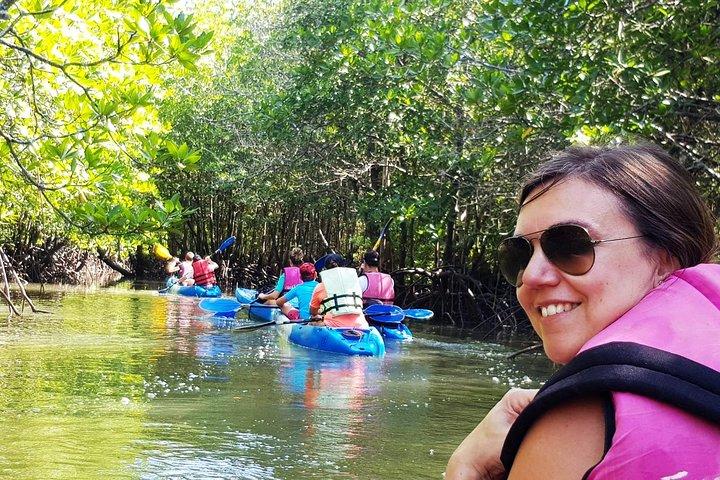 Half day Mangrove by Kayaking or Longtail boat from Koh Lanta 