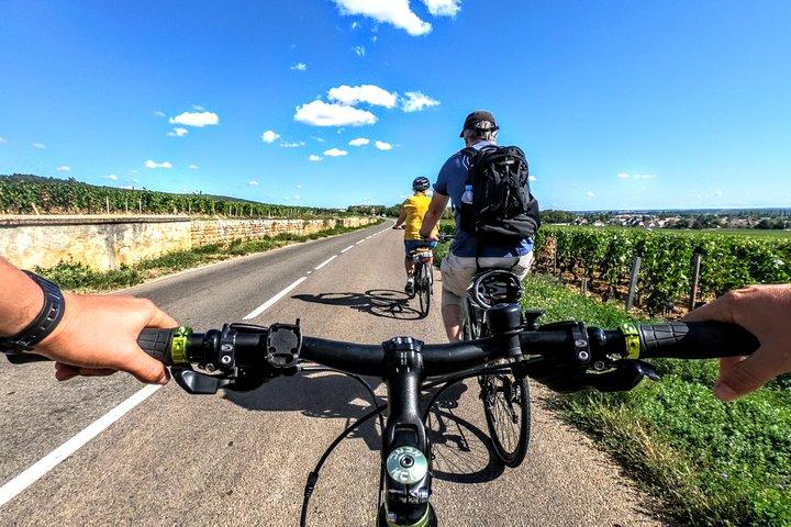 Discovery by bike & Tasting in the vineyards