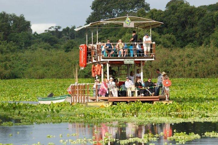 Pantanal Day Trip - All Inclusive - Leaving Campo Grande