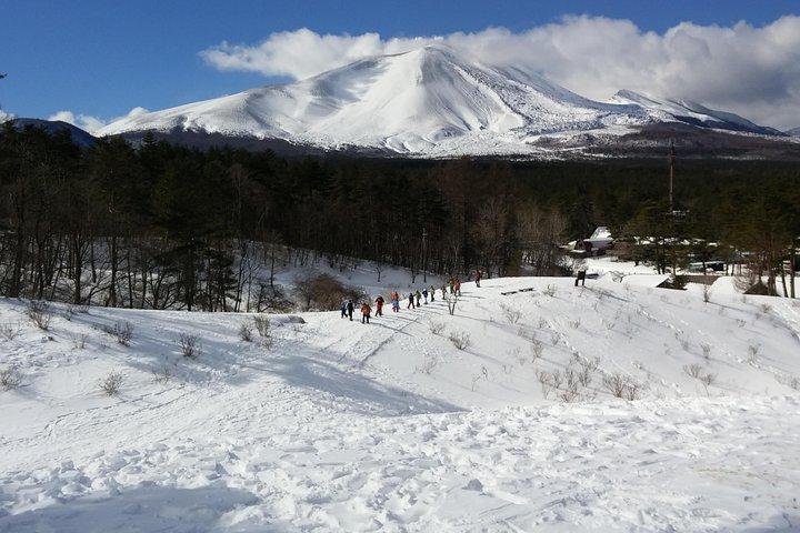 -Snow mountain hiking at the foot of Asama- Karuizawa Snowshoe Tour