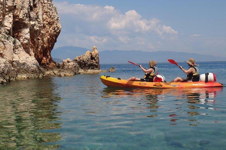 Kayak tour with snorkeling and marine biologist