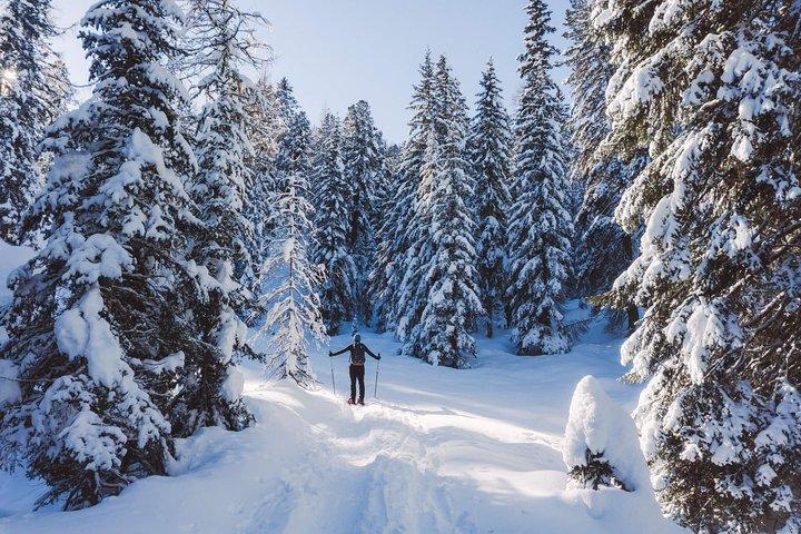 Snowshoeing in Cortina d'Ampezzo