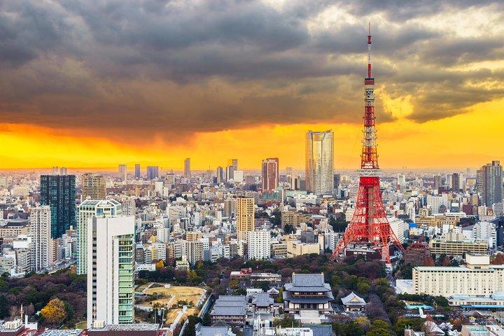 Explore Traditional Tokyo in a Day by Private Car 