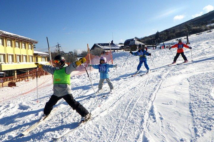 Private ski lesson for family or group(Transport included )