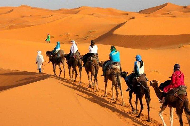 Camel ride in Tanger