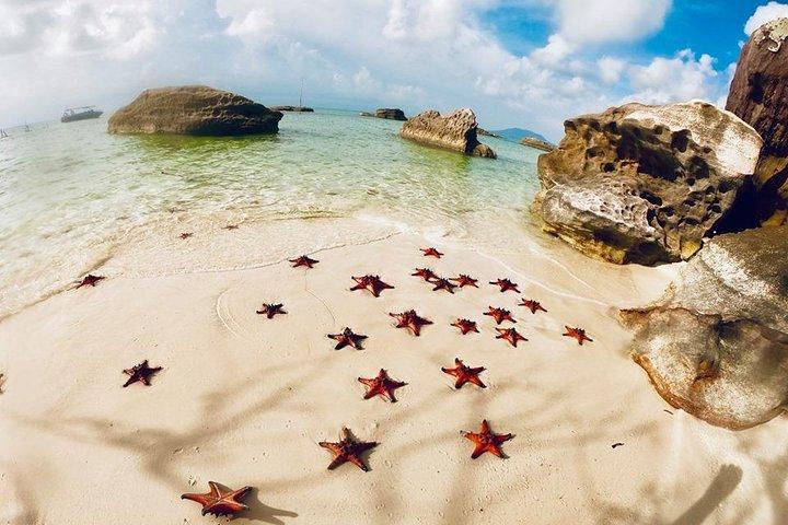 Land Tour 2: Discover the North - Kayaking & Starfish beach Phu Quoc (Not Lunch)