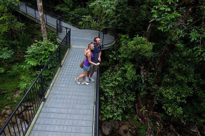Cape Tribulation, Mossman Gorge and Daintree Rainforest Day Tour