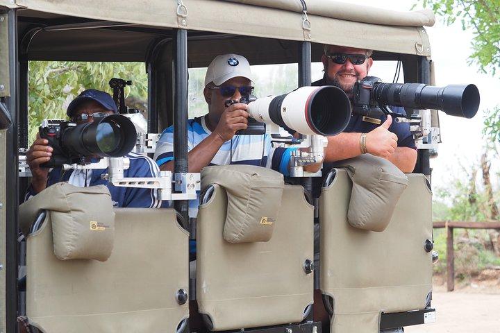 1 Day Photographic Wildlife Safari from Hazyview to Kruger Park