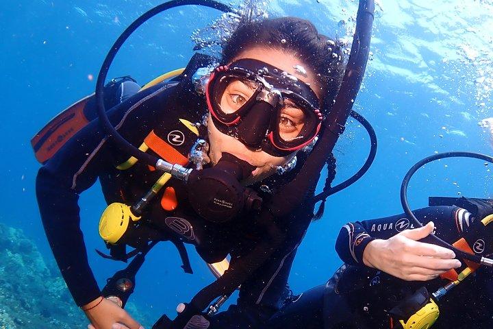 Bali Diving for Beginners: Tulamben Liberty Wreck