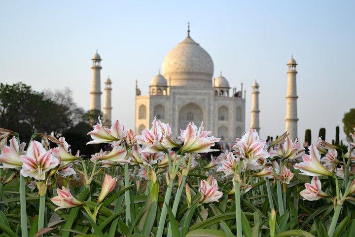 Taj Mahal Sunrise and Agra Overnight Tour from Chennai 