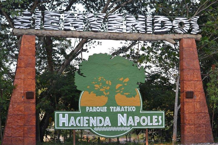 Tour to the Hacienda Nápoles Theme Park