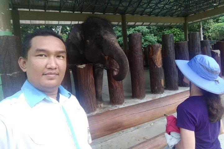 Full Day Elephant Sanctuary Tour with a Free Batu Caves Visit